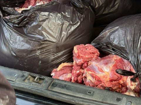 Bakıda 154 kq at ətini mal əti adı ilə satmaq istədilər - FOTOLAR