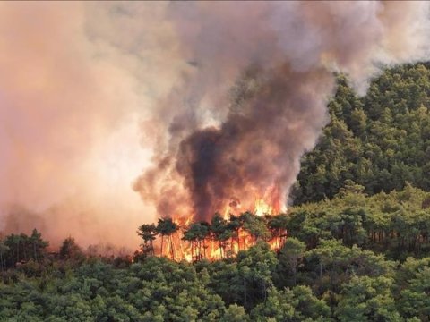 İranda Hirkan meşələri yanır - Tehran yardım istəyir
