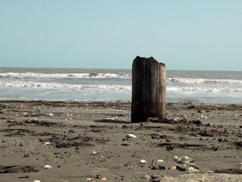 Xəzər dənizi iki yerə bölünəcək - ALİM