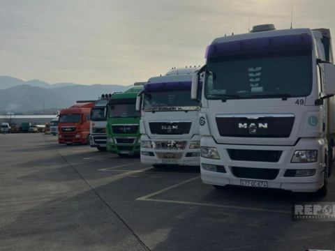 Gürcüstan 20 gündür Azərbaycan “TIR”larını gömrükdən buraxmır