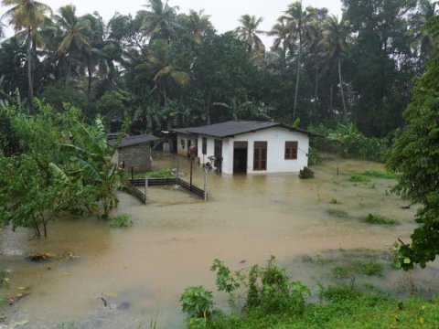 Şri-Lankada sel fəlakəti: Ölənlərin sayı 200-ə yaxınlaşır