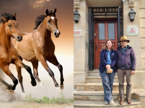 Qarabağda At Festivalı - Türkiyədən maraqlı TƏKLİF