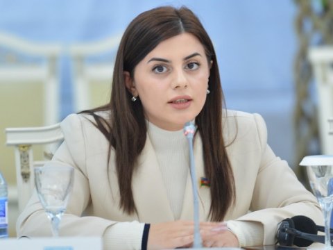 Bu şəxslər üçün xüsusi sığınacaq yaradılsın -  TƏKLİF