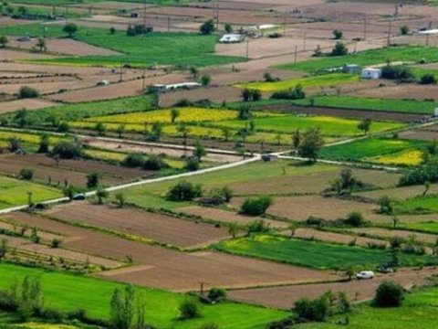 Kənd təsərrüfatı ilə məşğul olan bu şəxslərdən icazə tələb olunacaq 