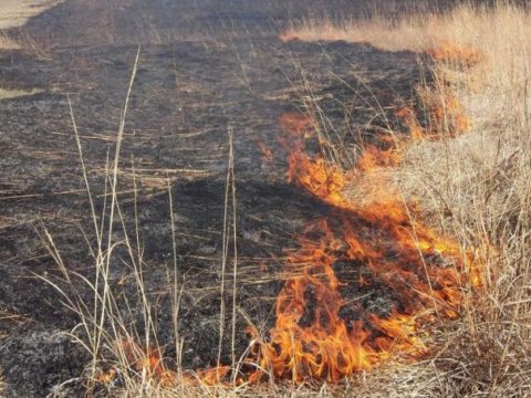Əkin yerinin yandırılmasına görə yeni cərimələr