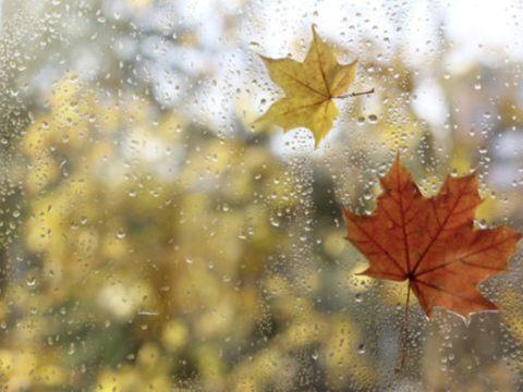 Rayonlara yağış yağır -&nbsp;GÜNÜN HAVASI