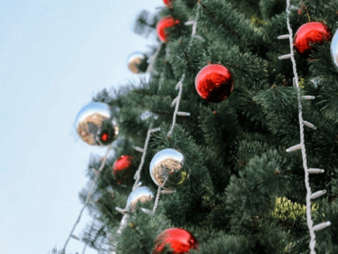 Yeni il "yolka"ları təhlükəlidir!