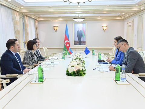 Spiker Aİ-nin Azərbaycandakı nümayəndəliyinin rəhbəri ilə görüşdü - FOTO