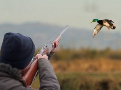 Sabahdan ov mövsümü açılır