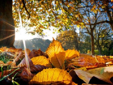 Bazar gününün hava PROQNOZU
