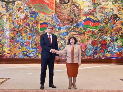 Sahibə Qafarova Monteneqro XİN rəhbəri ilə görüşdü - FOTO