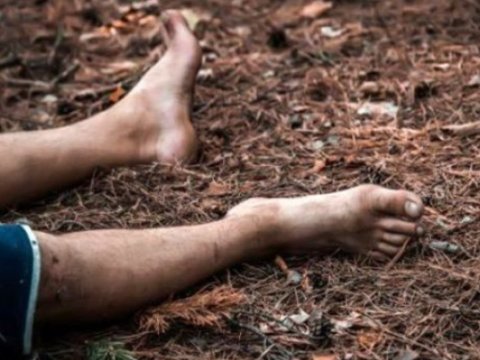 Meşədə üzərinə&nbsp;ağac düşən şəxs öldü