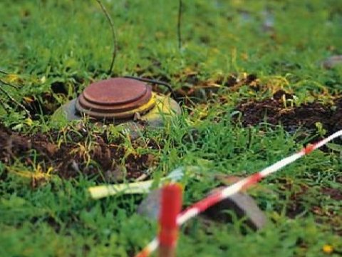 Azərbaycanda minatəmizləmədə heyvanların istifadəsi rəsmiləşdirilir