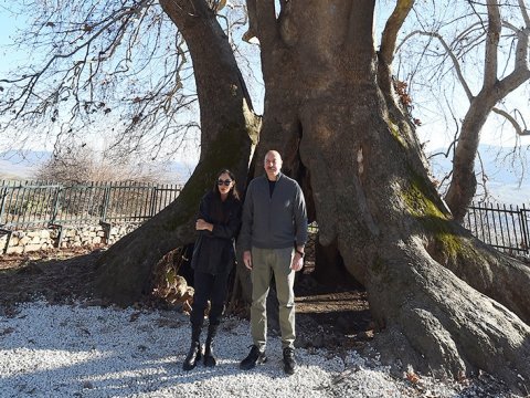 İlham Əliyev - Azərbaycan Büstü