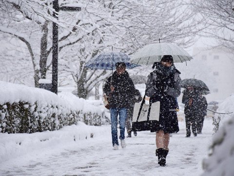 Hava xəbərdarlığı - Qar yağacaq, şaxta olacaq