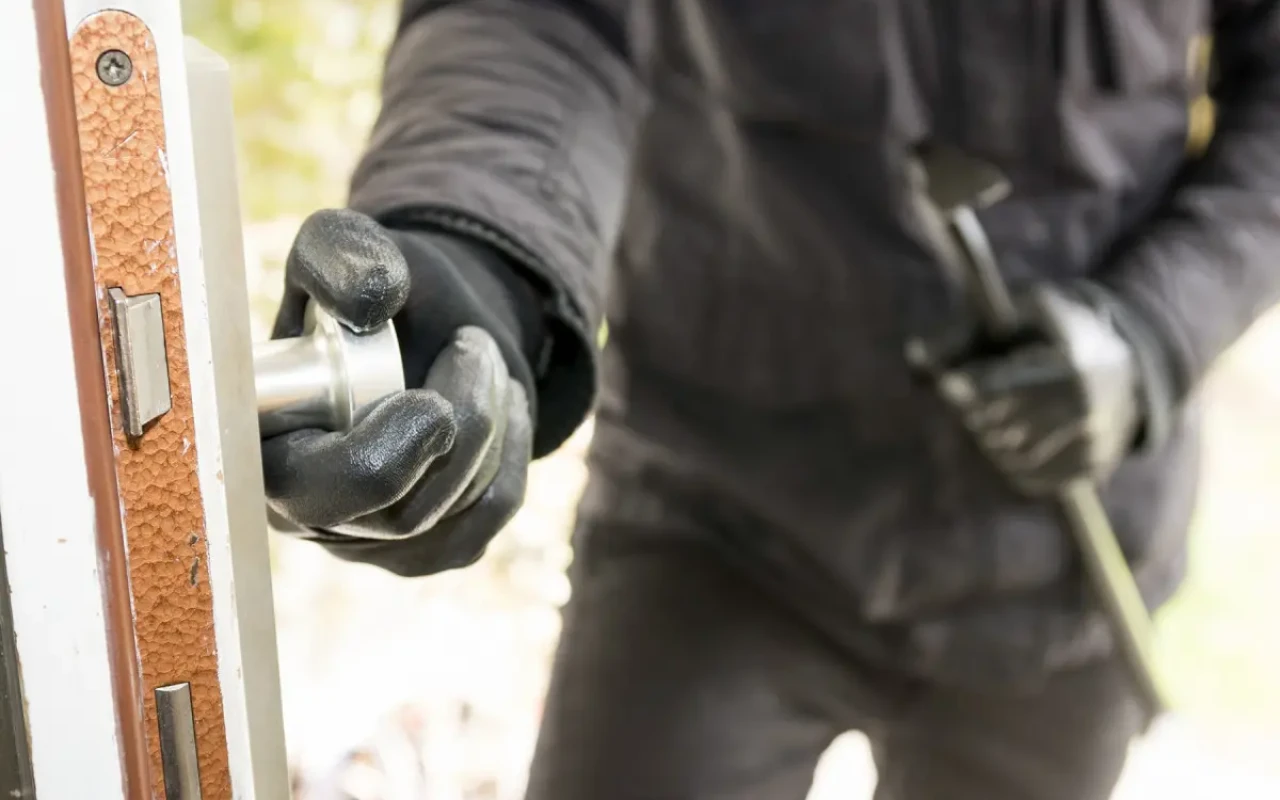 Maştağa və Bilgəh bağlarından oğurluq edildi