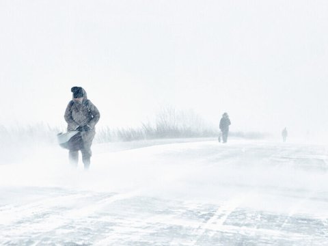 Finlandiyada fırtına - 160 mindən çox ev elektriksiz qaldı