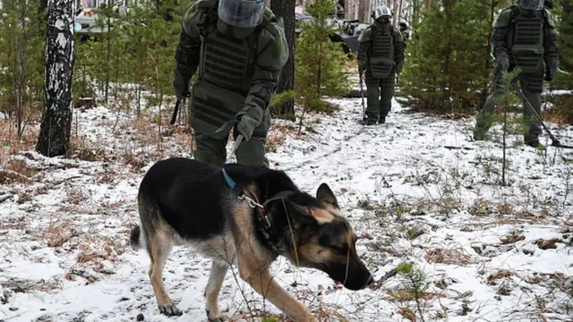 Azərbaycanda minatəmizləmədə heyvanların istifadəsi rəsmiləşdirilir