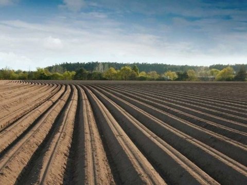 Əkin yerinin yandırılmasına görə yeni cərimələr, inzibati həbs müəyyənləşir