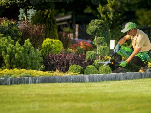 Bu hallarda abadlaşdırma işləri qadağan ediləcək