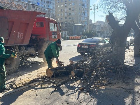 Bakıda güclü külək&nbsp;8 ağacı sındırdı