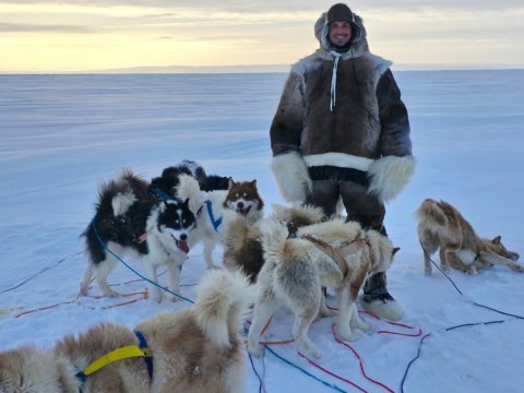 &ldquo;Zlatan Qrenlandiyanı təkbaşına müdafiə edəcək&rdquo; - FOTOLAR