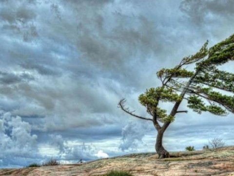 Əhaliyə hava xəbərdarlığı&nbsp;