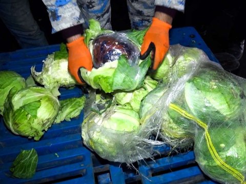 Kələm yükündən narkotik aşkarlandı