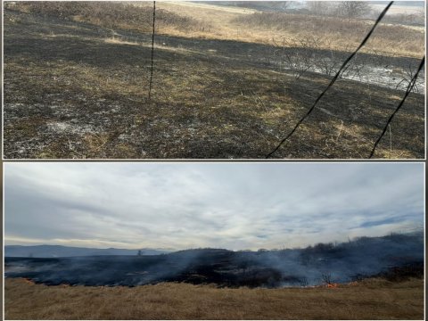 Xocalıda yanğına səbəb olan şəxs saxlanıldı&nbsp;-&nbsp;FOTO