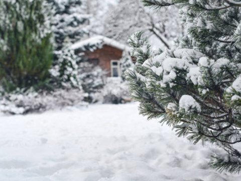 Rayonlara qar yağdı