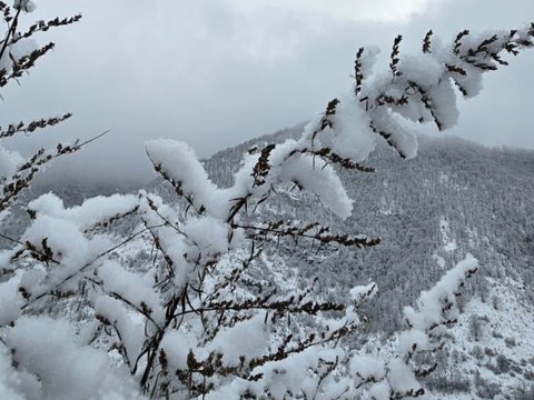 Kəlbəcərdən qar görüntüləri&nbsp;- FOTOLAR