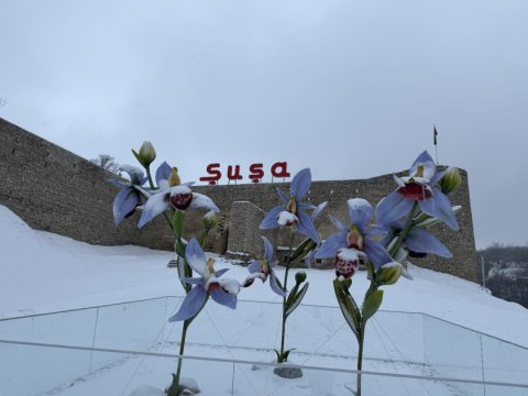 Shusha's mountains are snow-capped - PHOTOS