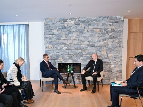 İlham Əliyev finlandiyalı həmkarı ilə&nbsp;görüşdü - FOTO