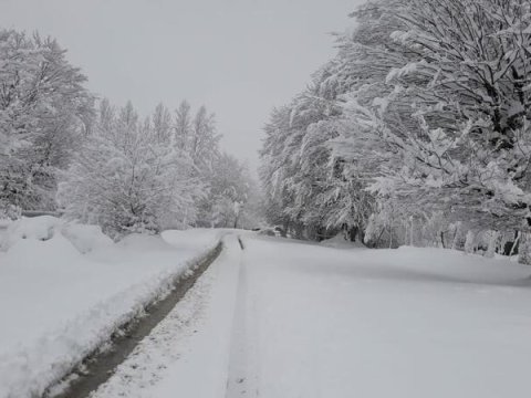 Rayonlarda qar&nbsp;intensivləşib, 12 dərəcə şaxta var