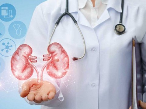 Azərbaycanda böyrəklər robotik üsullarla köçürüləcək