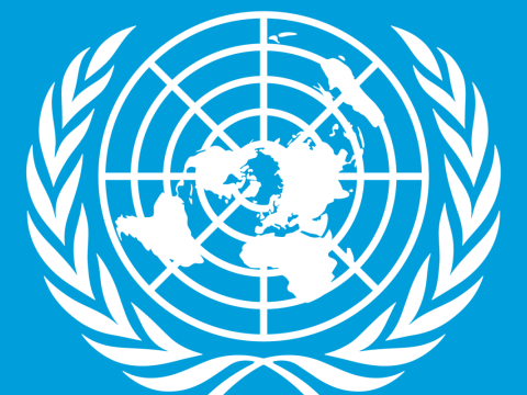 BMT-nin 21 əməkdaşı öldürülüb