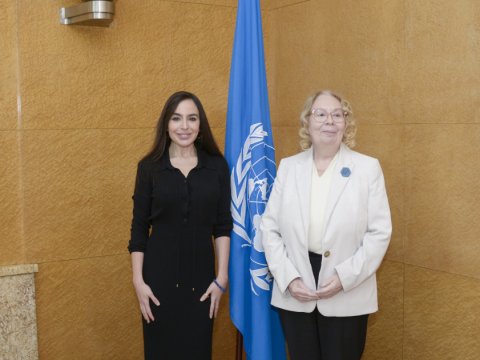 Leyla Əliyeva BMT-nin Cenevrədəki ofisinin baş direktoru ilə görüşüb