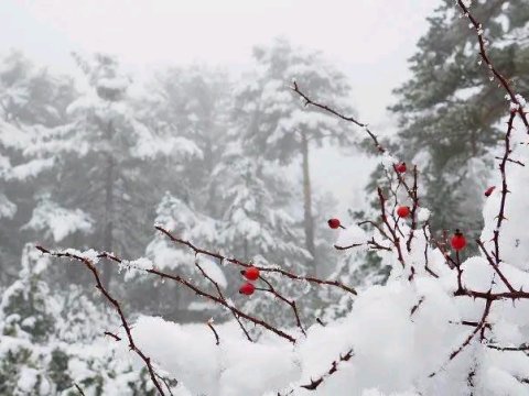 Kiçik Çillə&nbsp;