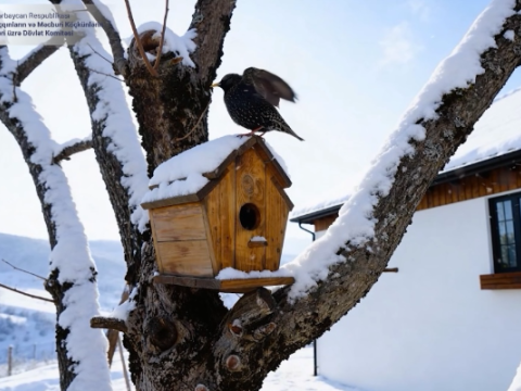 Laçın bir cənnətdir -&nbsp;Qışı möcüzə (VİDEO)