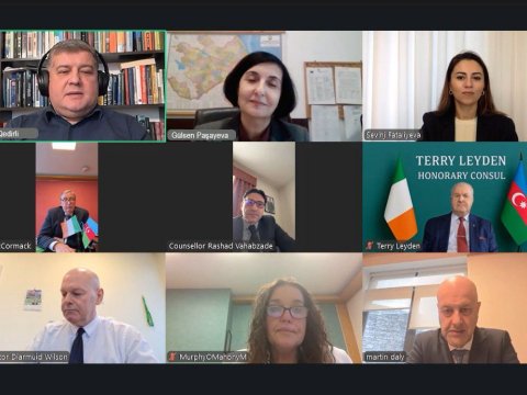 Azərbaycanla İrlandiya parlamentarilərinin görüşü keçirilib