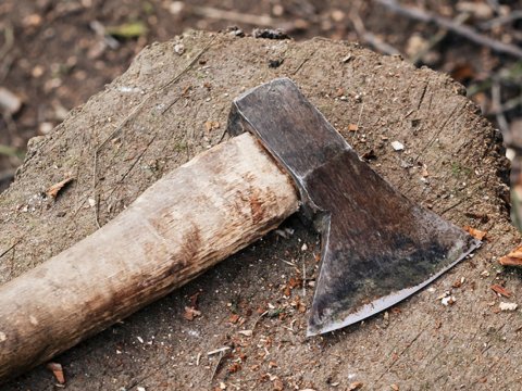 Prokurorluq qardaşı uşaqlarını baltalayan əminin ölümünü araşdırır