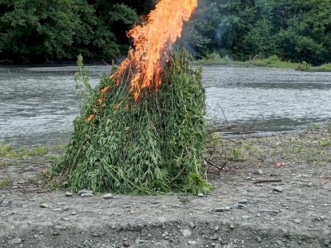 Dövriyədən çıxarılmış narkotik yandırıldı