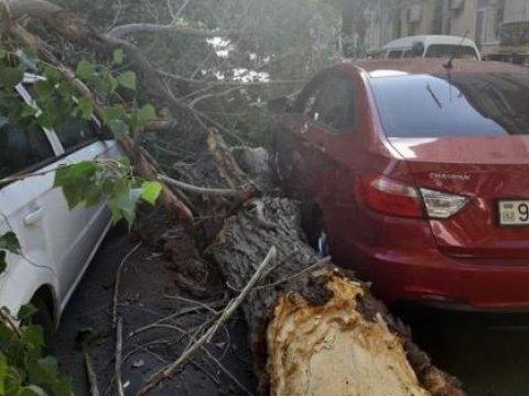 Maşının üstünə ağac aşdı &mdash; Ziyanı kim ödəyəcək?