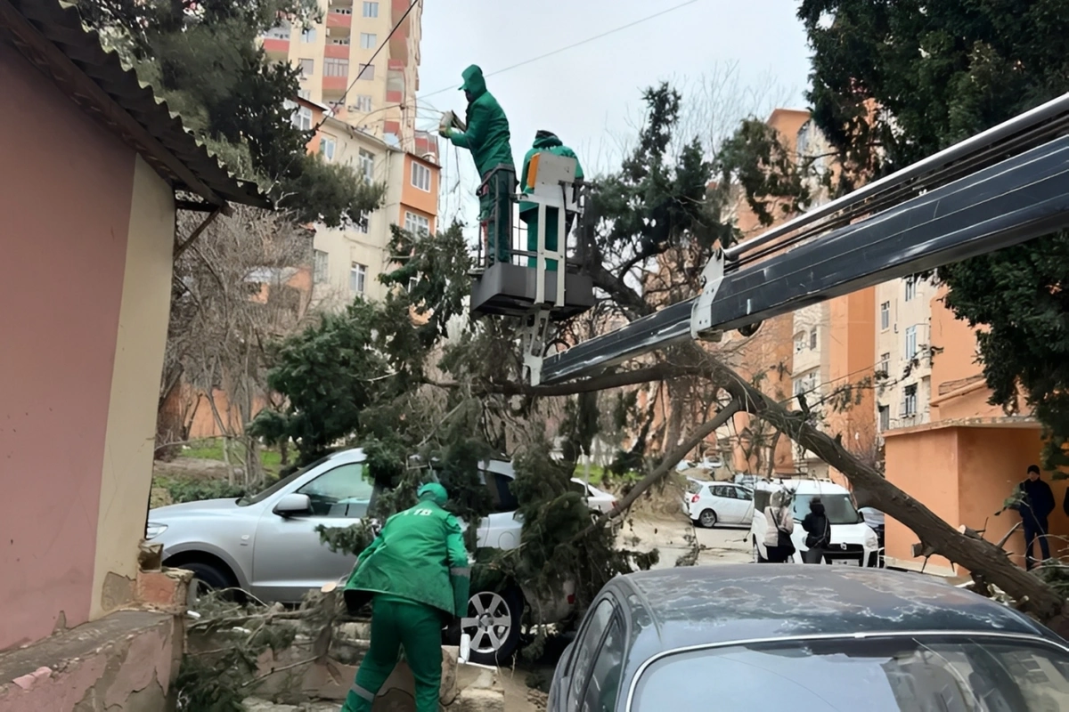 Güclü külək nə qədər maşın və evə ziyan vurub? - Ödənilən məbləğlər məlum oldu