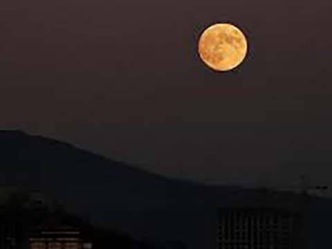 Ayda ilk şəhər bu tarixdə salına bilər