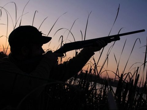 Qanunsuz ovçular: 34 nəfər 34 min manat cərimələnib