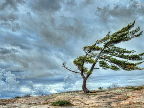 В некоторых местах ветер усилится -&nbsp;ПРЕДУПРЕЖДЕНИЕ