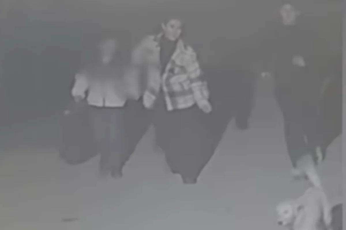 "Kameralara baxanda dəhşətə gəldik" - Bakıda uşağını küçəyə atan ana axtarılır