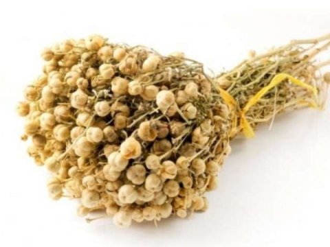 Xaricə gedərkən özləri ilə üzərlik aparanlara XƏBƏRDARLIQ