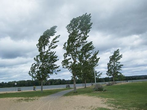 Bu ərazilərdə güclü külək əsir